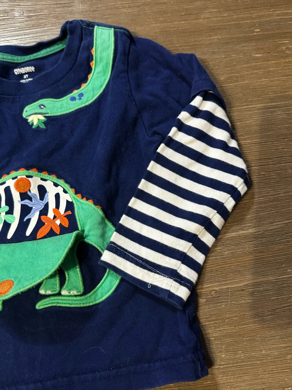 Gymboree long sleeve